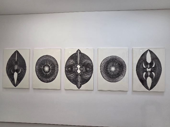 프랑스를 기반으로 서울울 오가며 활동 중인 남궁환(50) 작가의 개인전 'Entoptima: 별의 기억'이 서울 종로구 삼청로 아트파크에서 열리고 있다. 곽인숙 기자