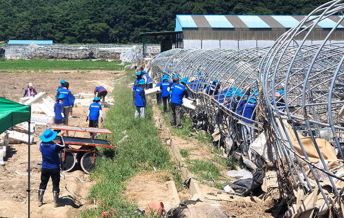 지난달 31일 산청군 집중호우 피해농가 일손돕기. 경남농협 제공 