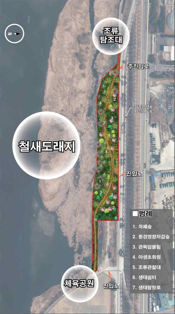 남대천 철새도래지 소생태계 복원사업 추진. 강릉시 제공