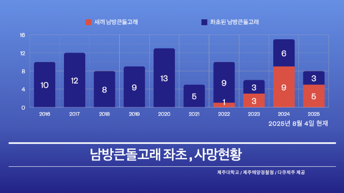 다큐제주 제공