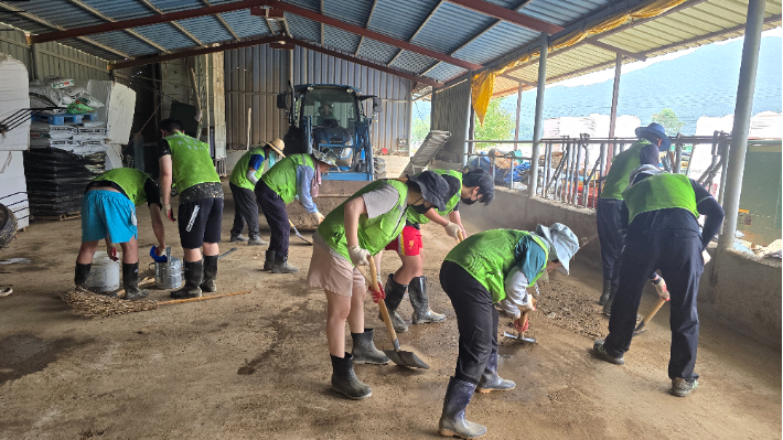 창원시 자원봉사단체협의회 창원지회 제공