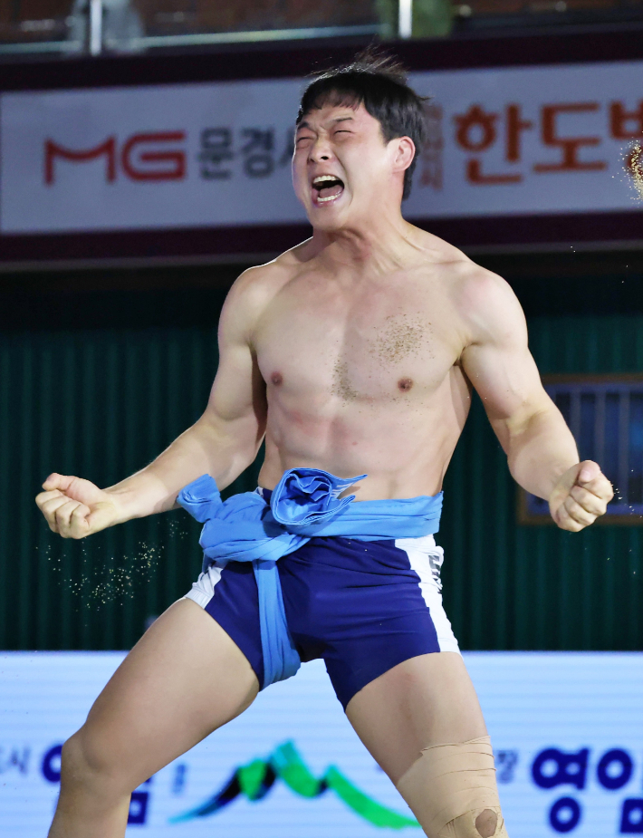수원특례시청 문준석이 영동장사대회에서 태백급(80㎏ 이하)을 제패했다. 문준석은 4일 충북 영동체육관에서 열린 위더스제약 2025 민속씨름 영동세계국악엑스포장사대회 태백장사 결정전(5판 3승제)에서 노범수(울주군청)를 3-2로 꺾었다. 사진은 이날 포효하는 문준석. 대한씨름협회