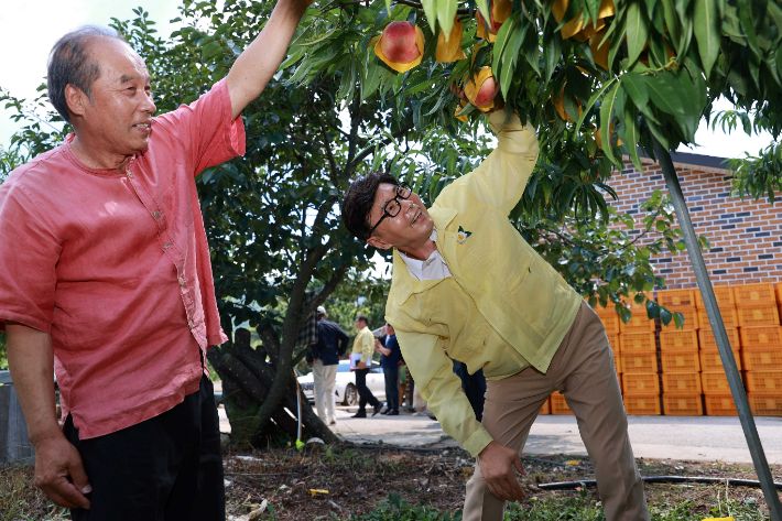 김철우 군수가 폭염 폭우 대비 복숭아 농장을 방문했다. 보성군 제공