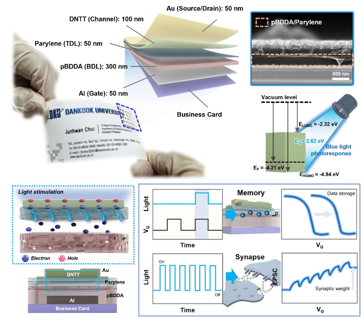 종이 명함에 제작된 차세대 AI반도체의 정보 저장 및 인공 시냅스 기능. 단국대 제공