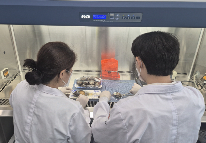 광주보건환경연구원은 연중 시기별로 농·축·수산물과 가공식품을 대상으로 식중독 원인균인 병원성 비브리오균(비브리오콜레라균, 비브리오패혈증균, 장염비브리오균) 모니터링을 실시하고 있다. 광주보건환경연구원 제공