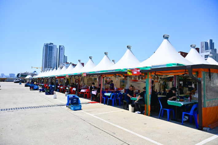 속초 오징어 난전. 속초시 제공