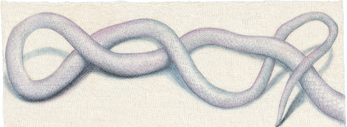 김영현, '창백한 허물(Pale Slough)', 광목에 채색, 호분, 20.5 x 56cm(2024). 김리아갤러리 제공