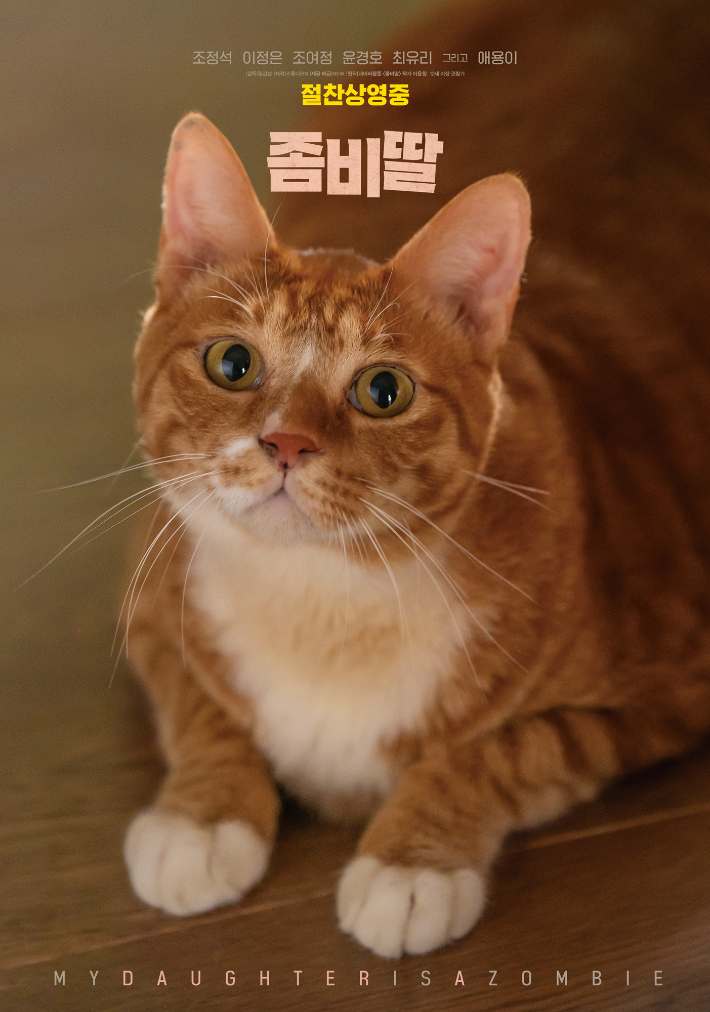세계 고양이의 날 기념 '좀비딸' 애용이 스페셜 포스터. NEW 제공