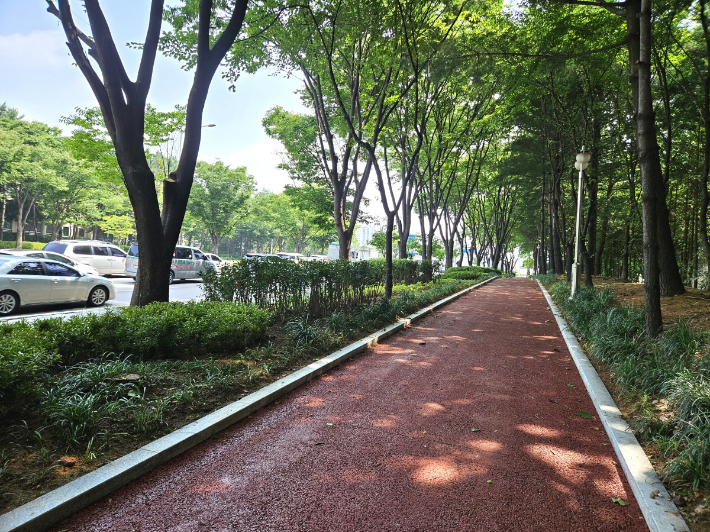 백마로 미세먼지 저감 도시숲 사업지. 고양시 제공