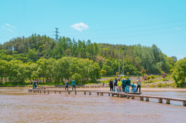 영주 무섬마을 외나무다리를 건너는 사람들. 경북문화관광공사 제공