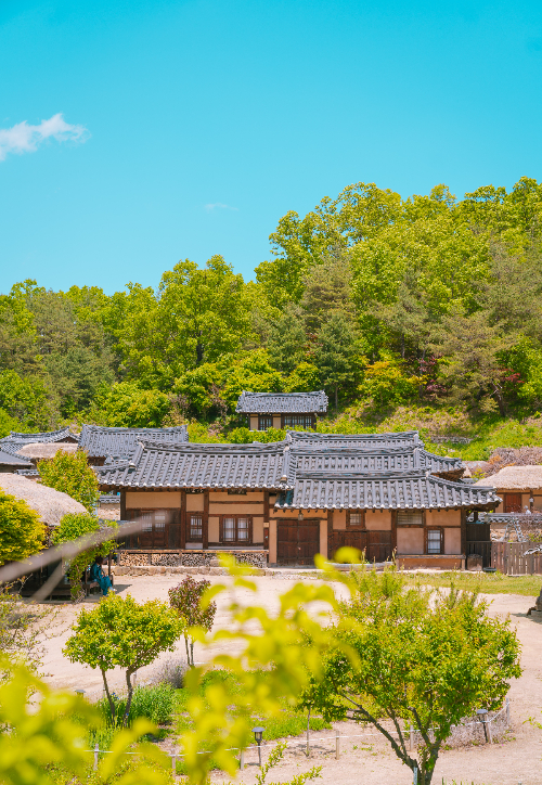 영주 무섬마을 한옥. 경북문화관광공사 제공