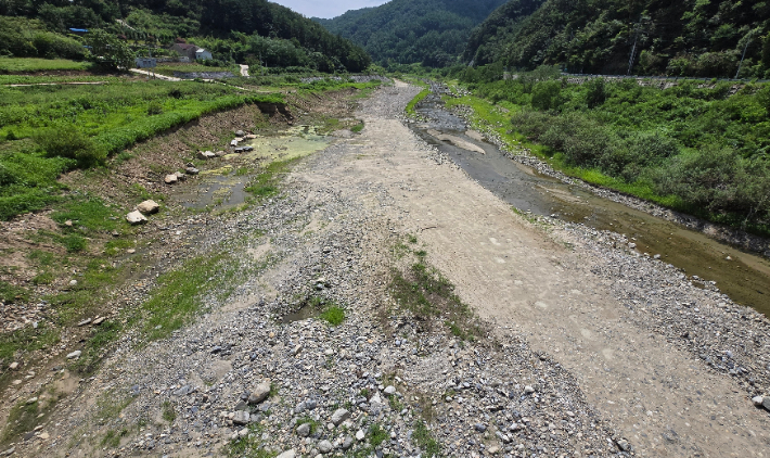 12일 강원 강릉시 주 상수원인 오봉저수지 저수율이 역대 최저치인 25.4%까지 낮아진 가운데 저수지 중·상류 지역이 잡초가 무성하거나 맨바닥을 드러내고 있다. 연합뉴스