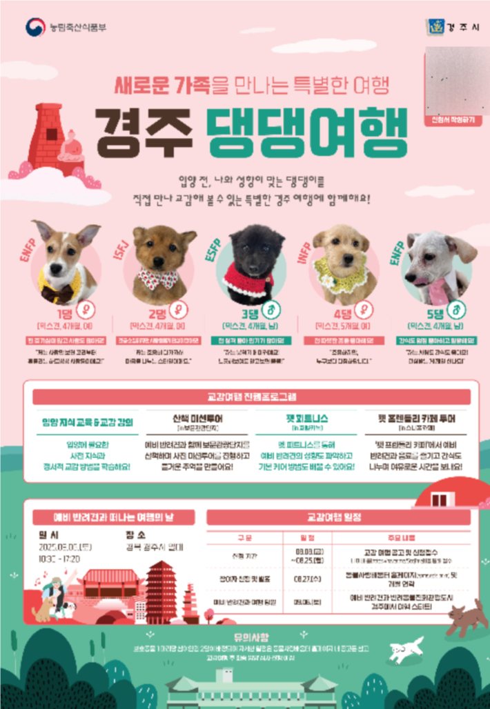 경주 댕댕여행 신청자 모집 포스터. 경주시 제공