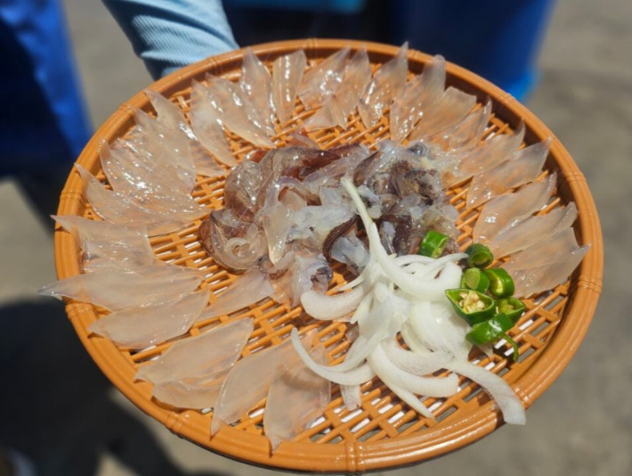 강원 속초 오징어 난전에서 두 마리 5만 6천원에 구매한 회. 속초시청 홈페이지