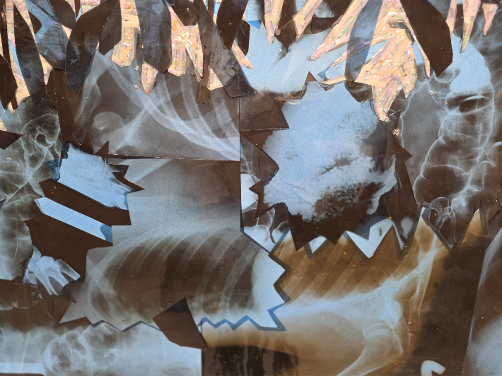 작품 속 활짝 피어난 꽃과 잎들을 가까이서 자세히 보면 손가락, 척추, 갈비뼈, 바스라진 뼈, 치아 사진들이다. 곽인숙 기자