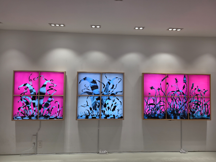 'X선 아티스트' 한기창 작가의 개인전 '뢴트겐(Roentgen)의 정원 25'가 서울 삼청동 오매갤러리(대표 김이숙)에서 16일까지 열린다. 곽인숙 기자 