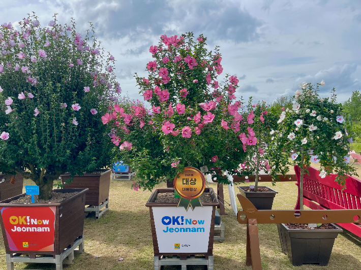 단체부문 대상(대통령)을 수상한 전라남도 무궁화 분화. 산림청 제공