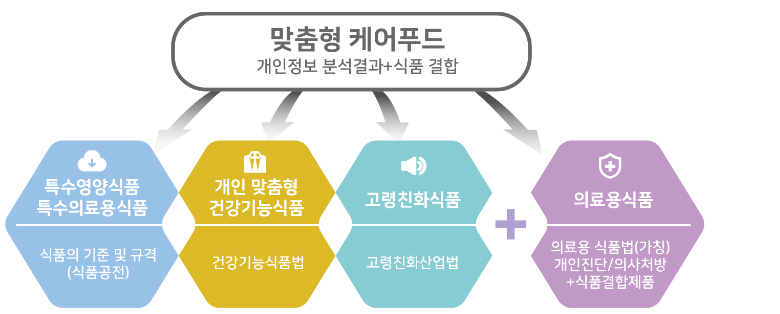 맞춤형 케어푸드 개념도. 전북도 제공