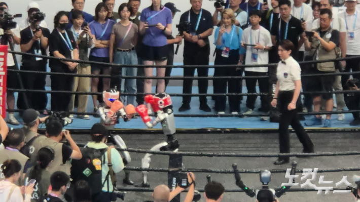'2025 세계 휴머노이드로봇 올림픽' 격투기 종목에 출전한 로봇들. 임진수 베이징 특파원