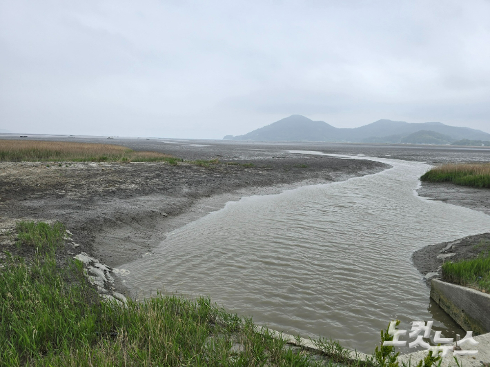 순천만습지 갯벌. 고영호 기자