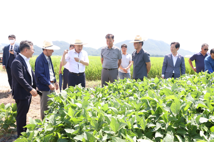 주낙영 경주시장이 안강읍 육통리 대청영농조합법인을 방문해 현장점검을 하고 있다. 경주시 제공