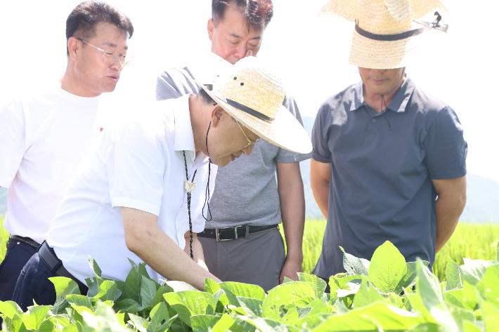 주낙영 경주시장이 안강읍 육통리 대청영농조합법인을 방문해 현장을 점검하고 있다. 경주시 제공