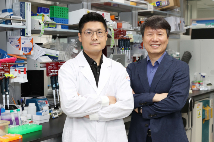KAIST, 우울증 원인 규명하고 치료 실마리 찾아