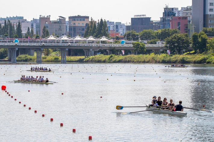 2024 울산 세계명문대학 조정 페스티벌. 울산시 제공