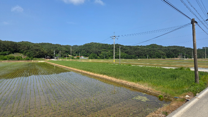 기성 혁신농업타운 대상지 전경. 울진군 제공