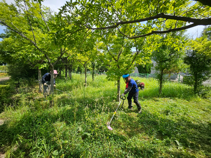 해룡면 신성리 녹지대에서 작업자들이 예초작업을 하고 있다. 순천시 제공