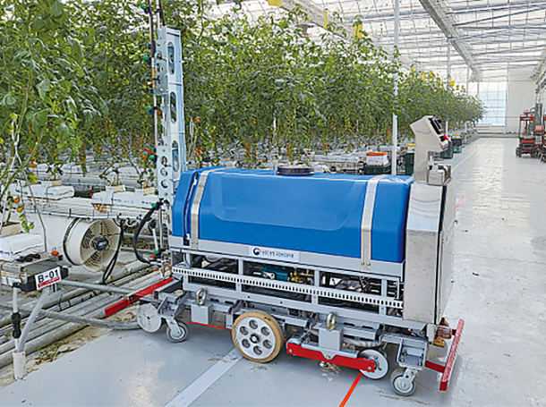 스마트팜 내부 모습. 농촌진흥청 제공