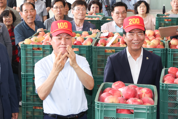 거창 홍로사과 초매식. 경남도청 제공 