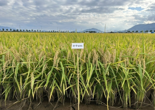 농촌진흥청 제공