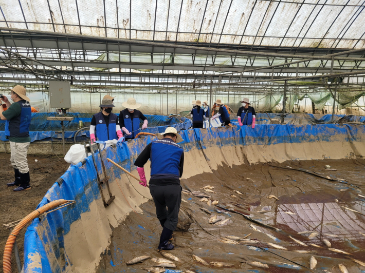 한수원이 극한호우로 큰 피해를 입은 지역에서 다양한 봉사활동을 펼치고 있다. 한수원 제공