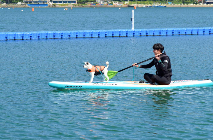 반려동물 이용 가능 거제 명사해수욕장. 경남도청 제공