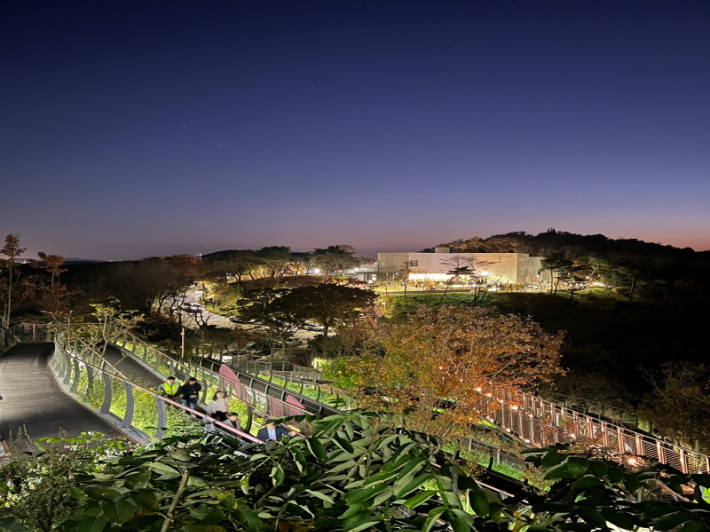 김포 애기봉평화생태공원 야경. 김포시 제공