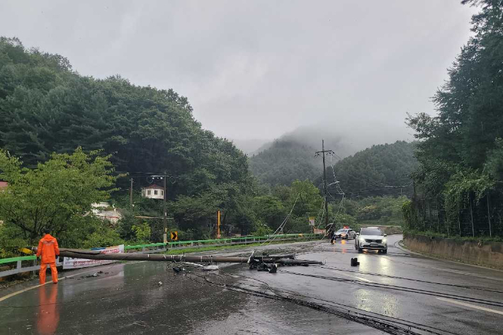 26일 오전 7시 21분쯤 화천군 사내면의 한 도로에서 전신주가 넘어져 경찰과 소방 등 관계당국이 안전 조치를 벌였다. 강원소방 제공