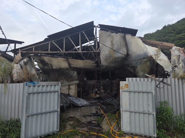 지난 26일 오후 4시 20분쯤 전북 임실군 덕치면의 한 축사에서 불이 나 돼지 470두가 폐사하고 냉장고 등 집기가 소실돼 약 9857만 원의 재산 피해가 발생했다. 전북소방본부 제공
