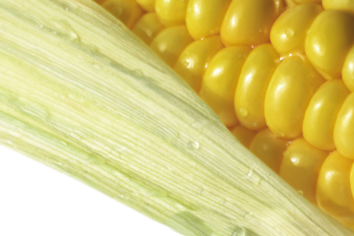 스마트이미지 제공