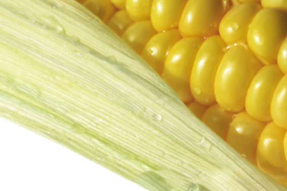 스마트이미지 제공