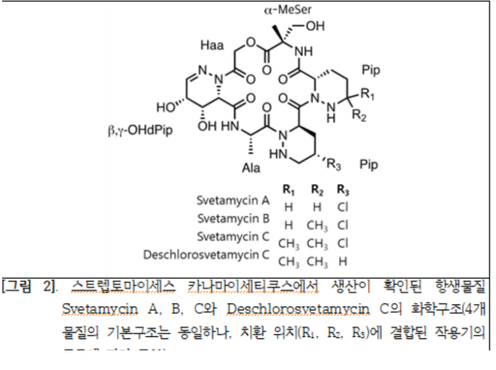 환경부 소속 국립생물자원관 제공