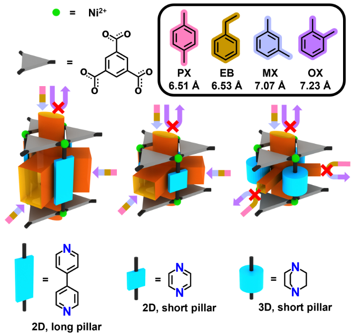 자일렌 이성질체 분리를 위한 MOF 구조 설계와 분자 선택성 메커니즘. 연구 그림 UNIST 제공