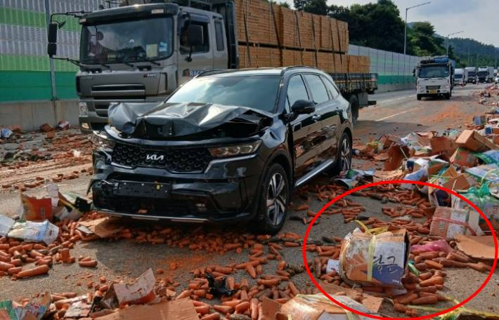 괴산소방서 제공