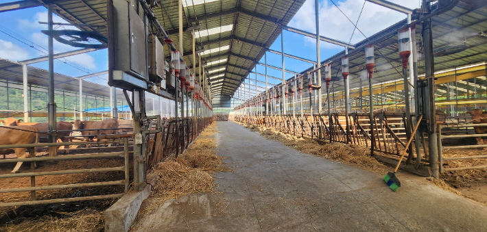 저탄소 축산물 인증 농장. 전라남도 제공