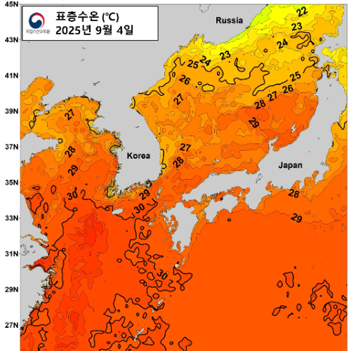 2025년 9월 4일 한반도주변 해역 수온분석 사진. 국립수산과학원 제공 