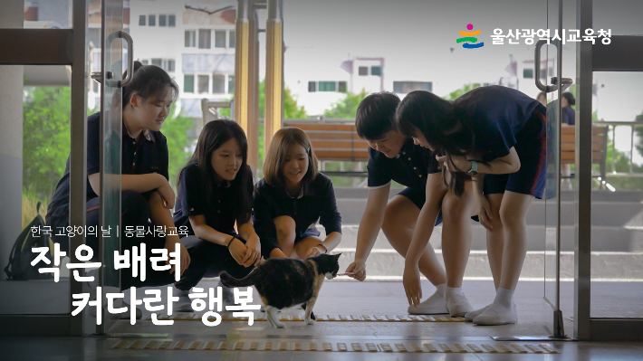 울산광역시교육청은 9월 9일 '한국 고양이의 날'을 맞아 고양이를 돌보는 학생들의 이야기를 담은 영상을 제작해 유튜브에 공개했다. 사진 울산시교육청 제공