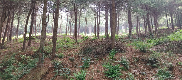 충주시 제공