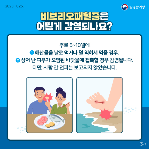 전남도, 비브리오패혈증 주의 당부…올해 전남지역 2명 발생