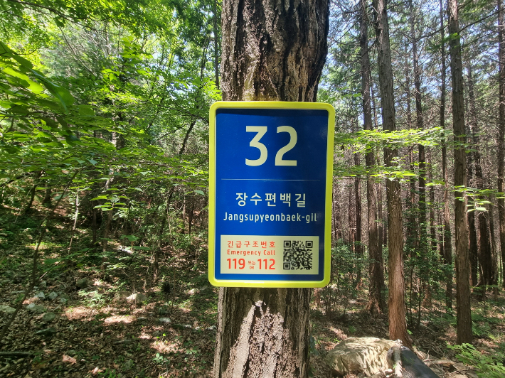 숲길 도로명 부여-고흥 장수편백길 32. 전라남도 제공