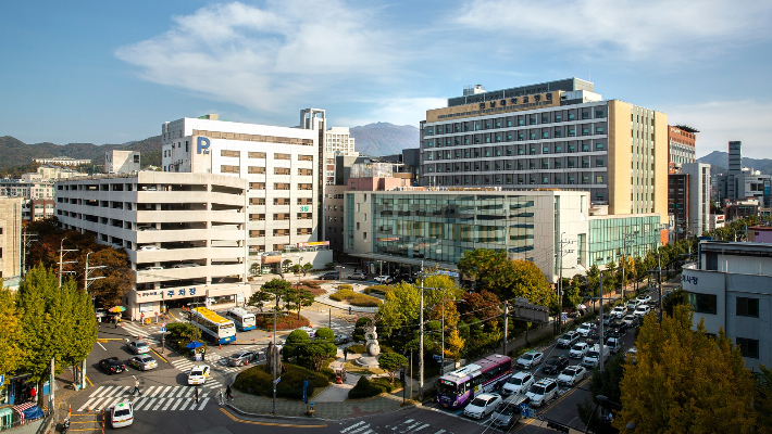 전남대병원 전경. 전남대병원 제공